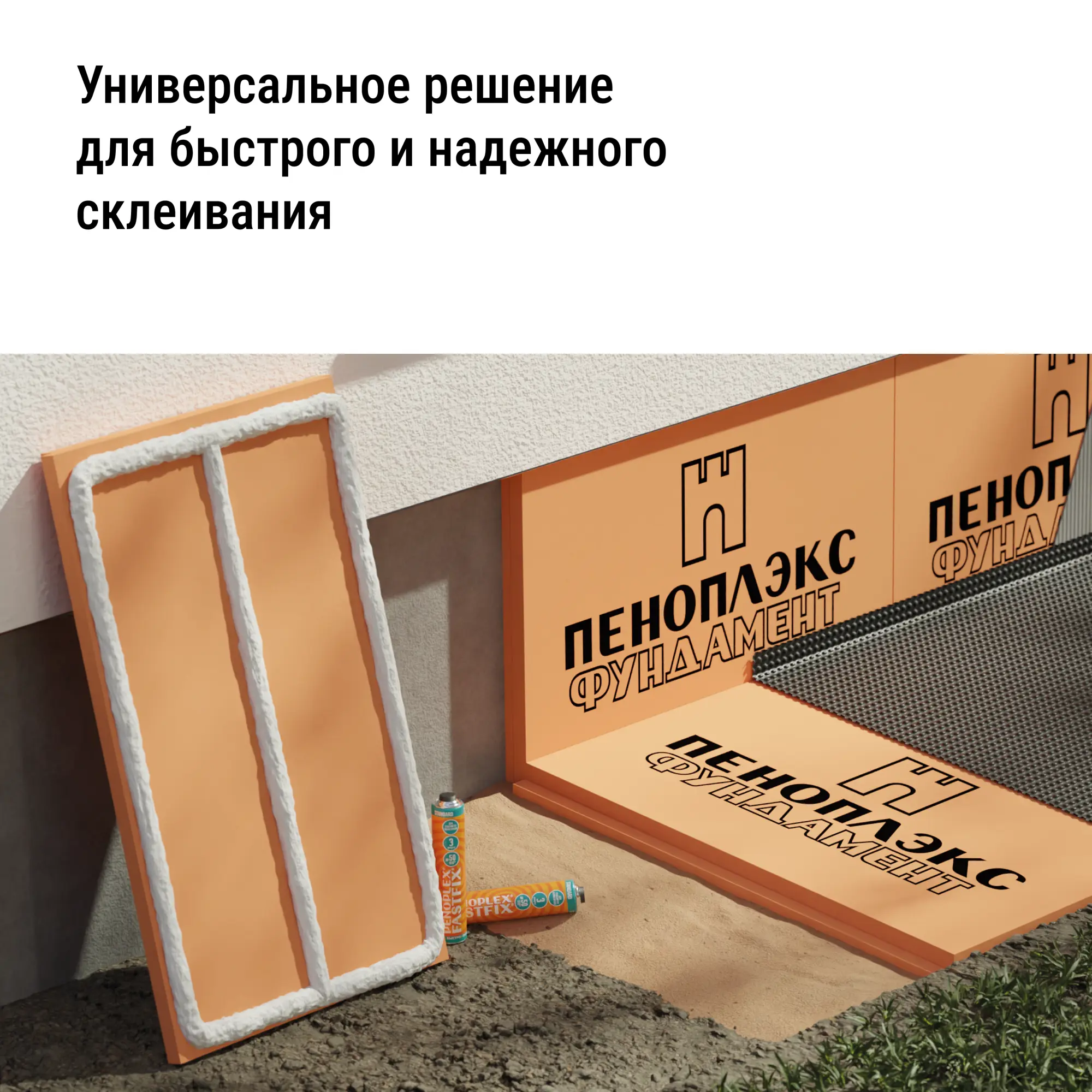 18529877_inf_02